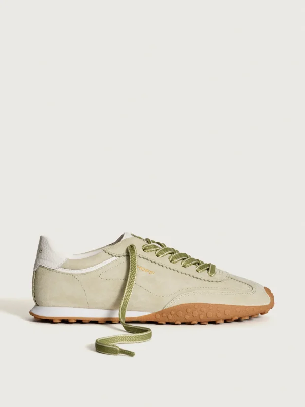 BIRD VERDE