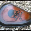 Asiento custom personalizado Skull marrón para Sportster 2010-up - Imagen 2
