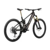 Bicicleta Orbea Wild M20 2024 - Imagen 3