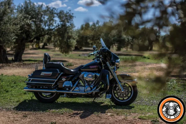HD Electra Glide del 2005