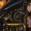 HD Fat Bob del 2019 - Imagen 2