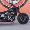 HD Fat Boy del 2007 - Imagen 11