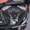 HD Fat Boy del 2007 - Imagen 10