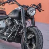 HD Fat Boy del 2007 - Imagen 8