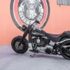 HD Fat Boy del 2007 - Imagen 3