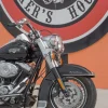 HD Road King del 2010 - Imagen 9