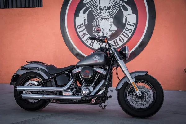 HD Slim del 2014