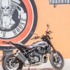 Indian FTR1200 Rally del 2020 - Imagen 8