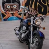 Suzuki Intruder C800 Volusia del 2001 - Imagen 5