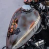 Kawasaki VN800 del 97 - Imagen 12
