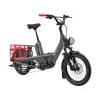 Bicicleta Cannondale Cargowagen Neo 2 - Imagen 2