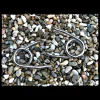 kit asiento muelles Sportster hasta 2003 - Imagen 2