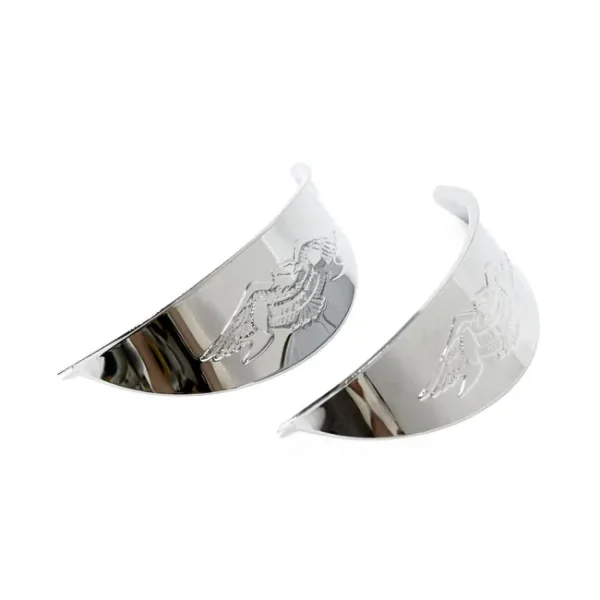 Viseras Faros auxiliares aguila